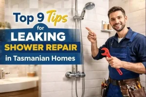 leaking shower repair